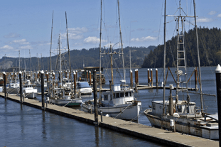 Marine Studies Consortium Courses